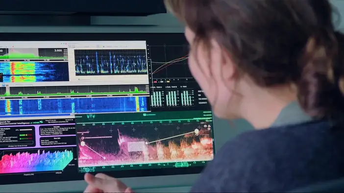 Фрагмент (дублированный)