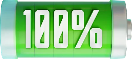 100% (фильм 2023)