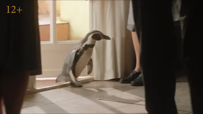 Трейлер (дублированный)