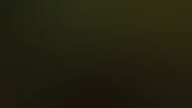 Дополнительный урок