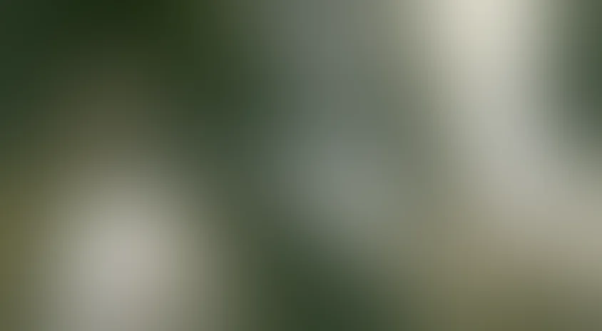 Портрет жены художника