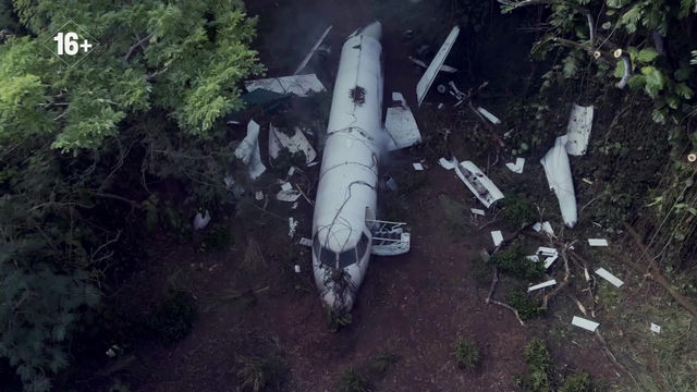 Частный детектив Магнум