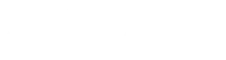 Сталкеры. Альберт