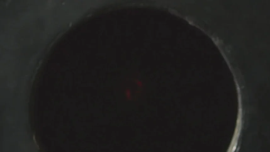 Сокровища О.К.