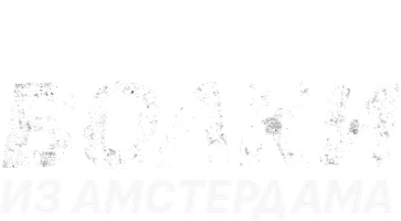 Amsterdam bo'rilari