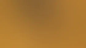 Семь лет несчастий