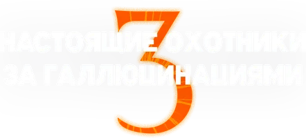 Настоящие охотники за галлюцинациями. Часть 3