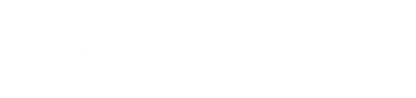 Жизнь, Ларри и стремление к несчастью: Почти история Америки