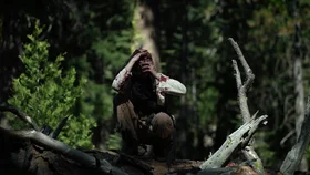 В поисках единорога