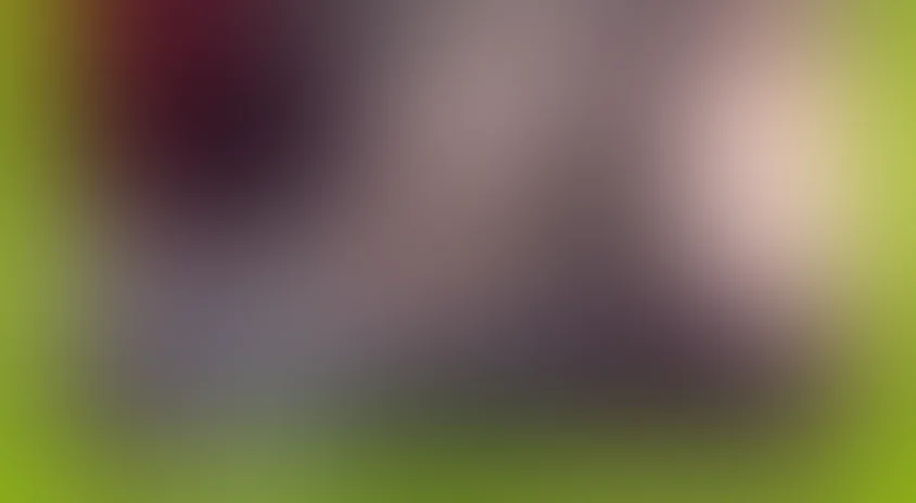 Сказка о глупом мышонке