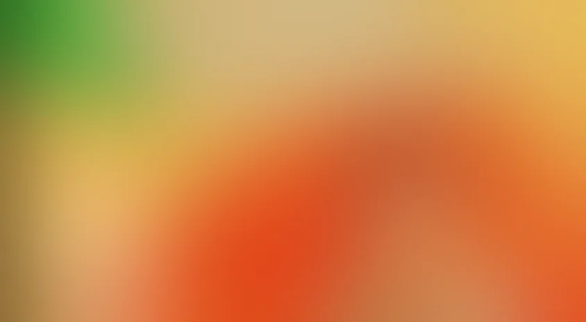 История игрушек: Гавайские каникулы