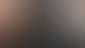 Долгая дорога домой