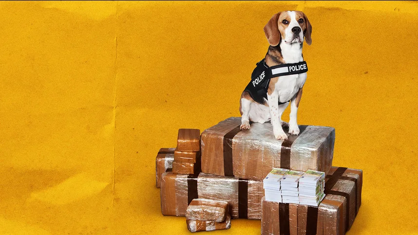 Куш собачий