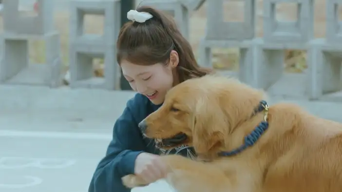 Трейлер (дублированный)