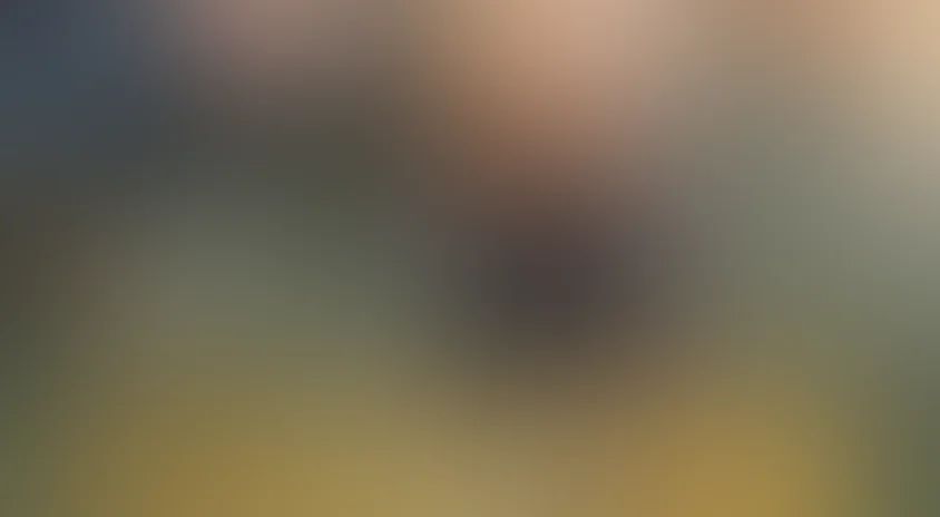 Золотой капкан