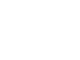 Донна Бежа