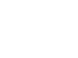 Донна Бежа (Сериал, 2026)