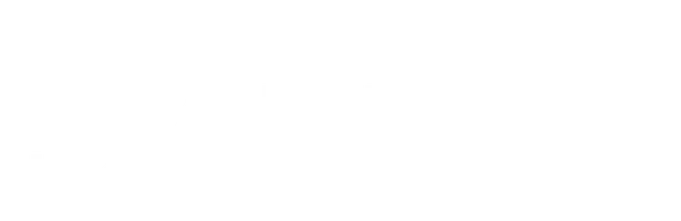 Аньелли: Жизнь президента