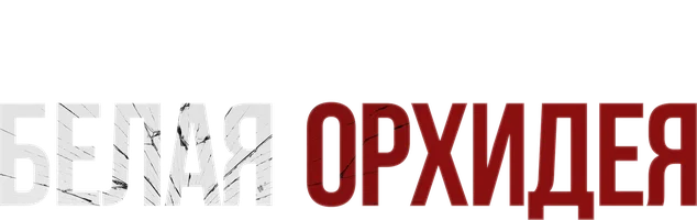Белая орхидея