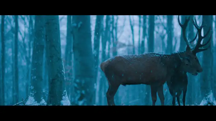 Трейлер (русские субтитры)