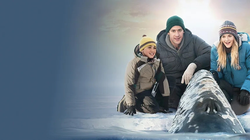 Все любят китов