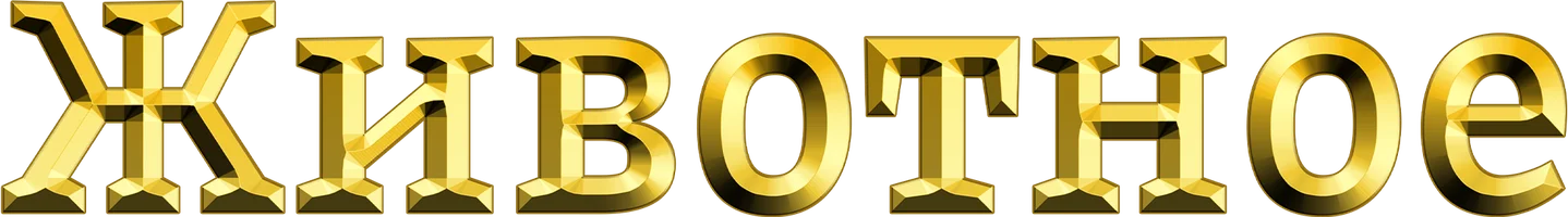 Фильм Животное смотреть онлайн