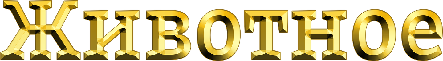 Фильм Животное