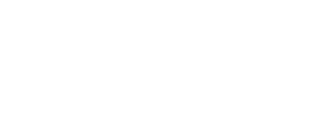 Роман в законе