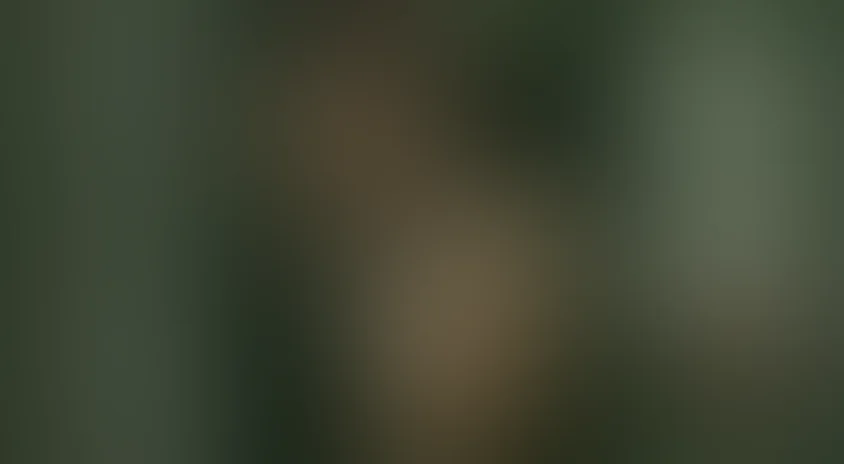 Кто, если не мы