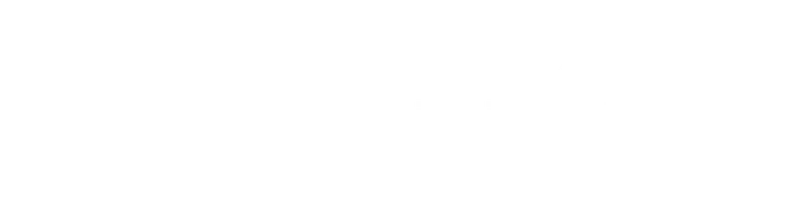 Жена художника