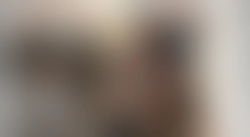 Проект Подиум. Все звёзды