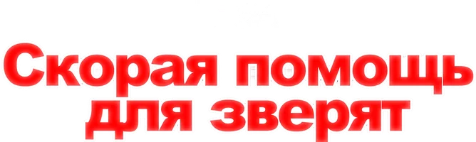Tez yordam hayvonlar uchun