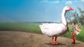 Чудесное путешествие Нильса с дикими гусями