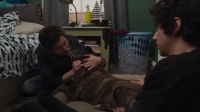 Фрагмент (дублированный)