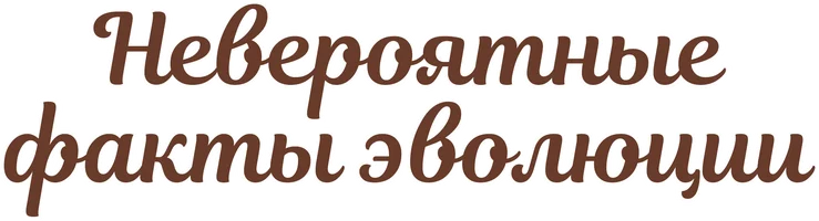 Невероятные факты эволюции 1 сезон 23 серия