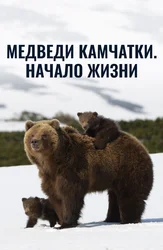 Медведи Камчатки. Начало жизни