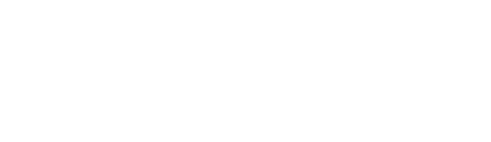 Искусство слепых фотографов (2010)