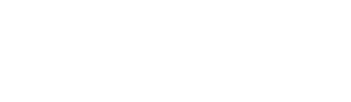Искусство слепых фотографов (2010)