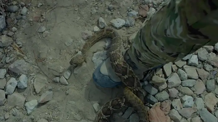 Фрагмент 4 (испанский язык)