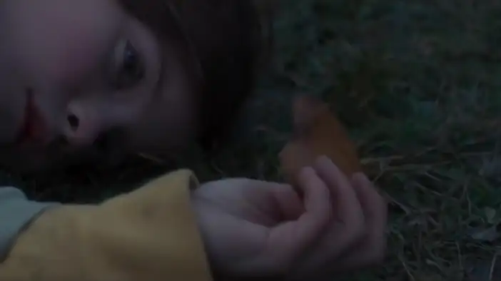 Международный трейлер (английский язык)