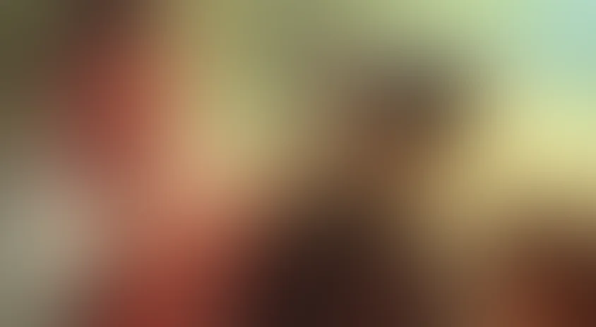 Новые приключения Дони и Микки