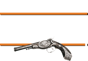 Мексиканец (Фильм, 2001)