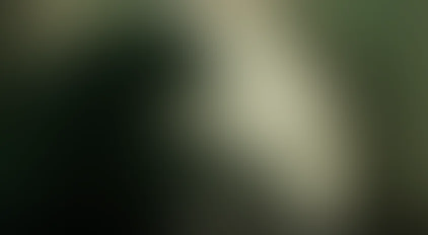 Михайло Ломоносов