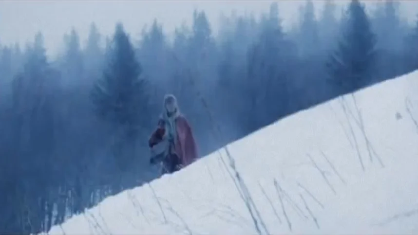 Выживая с волками