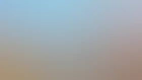 Крылатая история