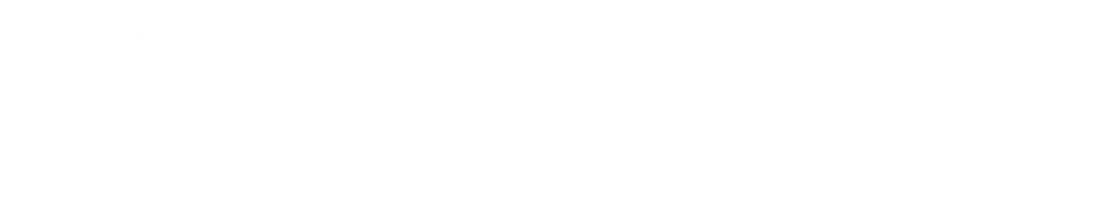 Последний шанс