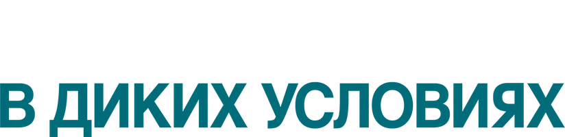 В диких условиях