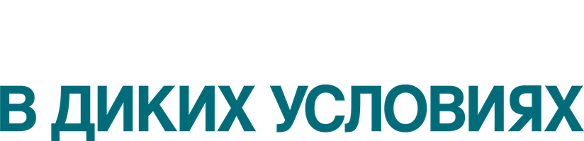 В диких условиях (Фильм, 2007)