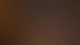 Леди и бродяга