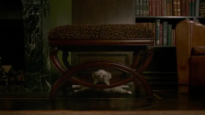 Трейлер (английский язык)